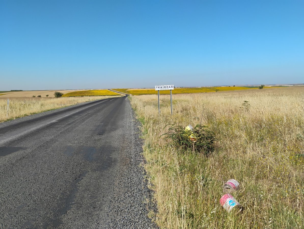 Cycling Through Sunflower Fields, Türkiye