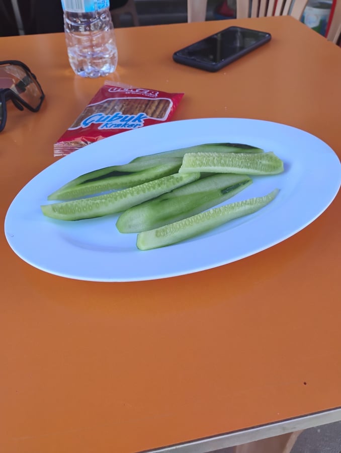 Kebab, Türkiye