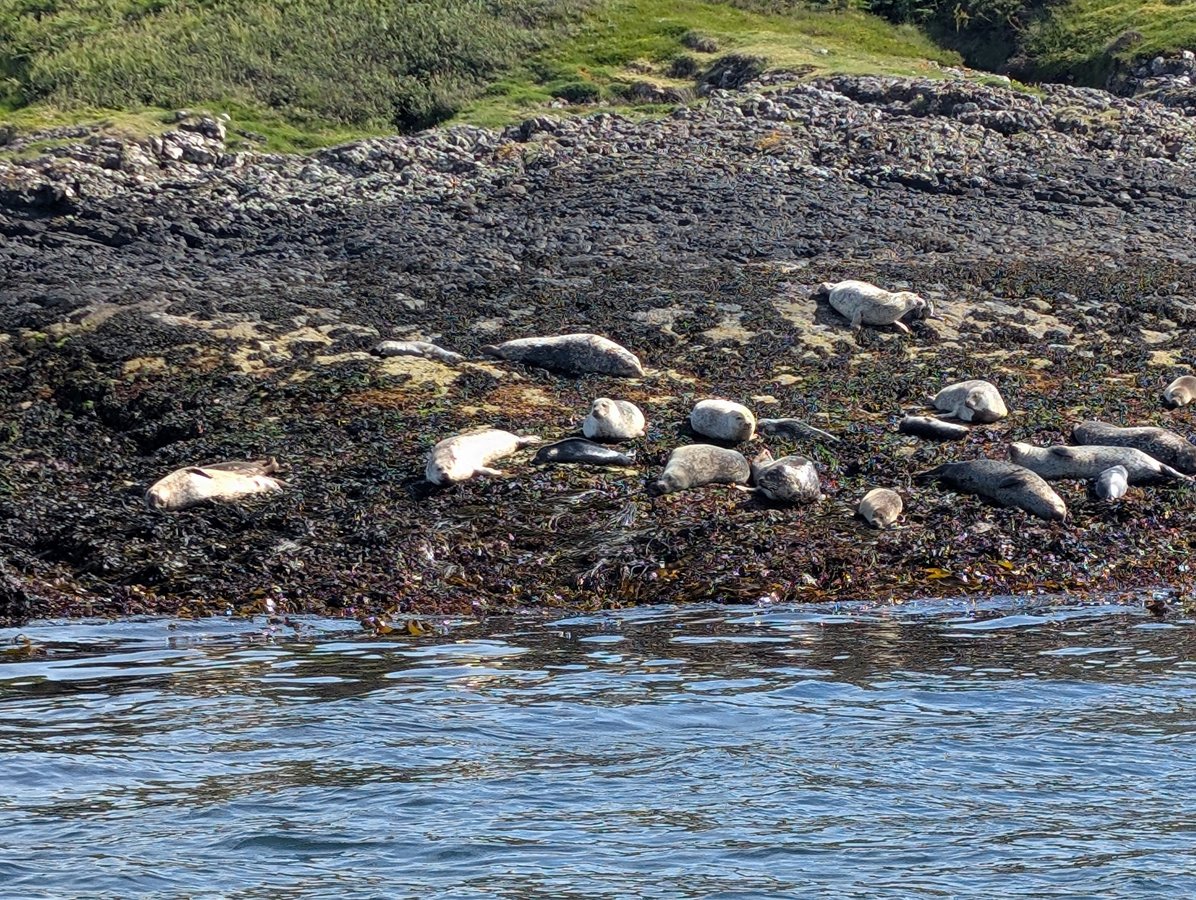 Scellés, Écosse