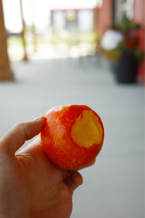 Nectarines At Johnson's Fruit Stand, Canada