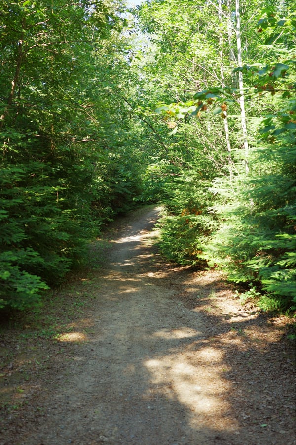 Lake Trail, Canada