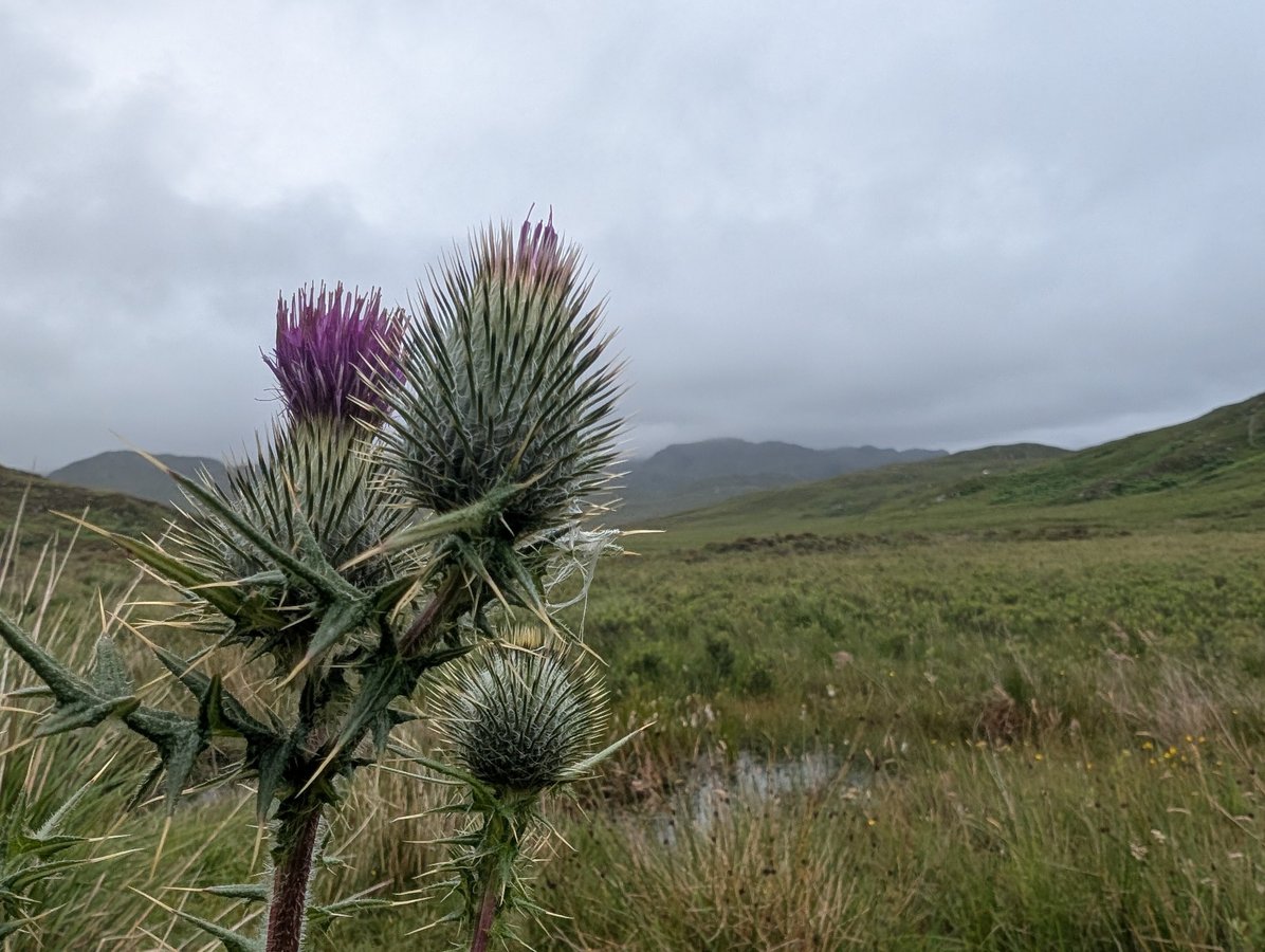 3 July 2025 - 16:18, Scotland