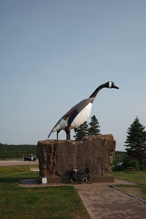 The Big Goose, Canada