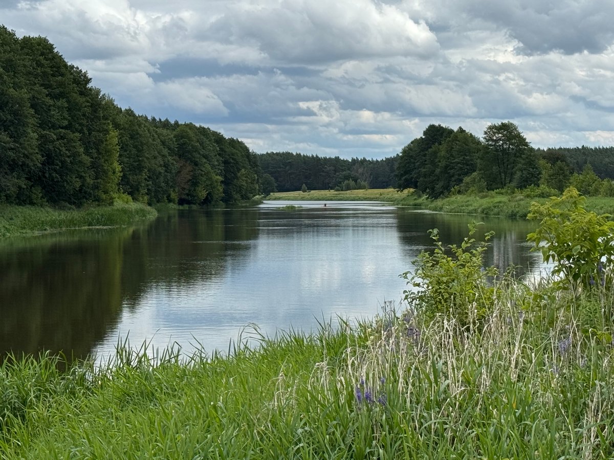 Meandering River and many Oxbow Lakes, Poland