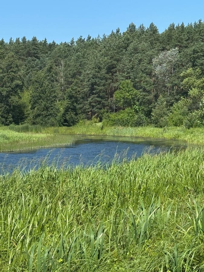 Oxbow Lake, Poland