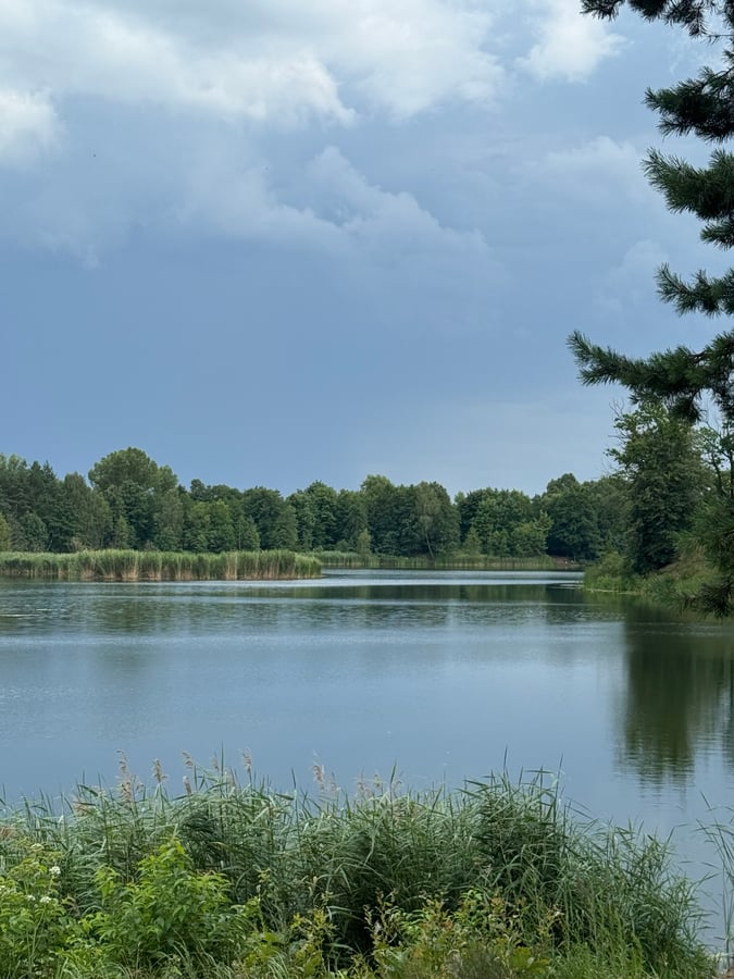 Oxbow Lake Quite Away From River, Poland