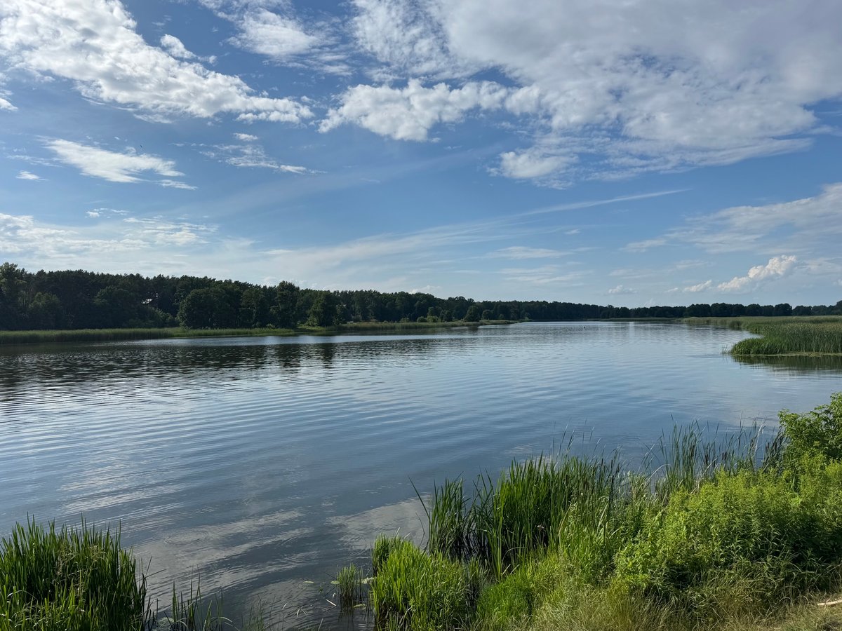 Narew River, Poland