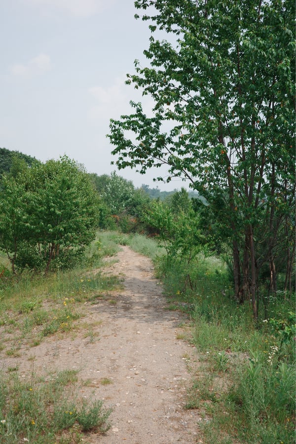 Views Around Sault Ste Marie, Canada