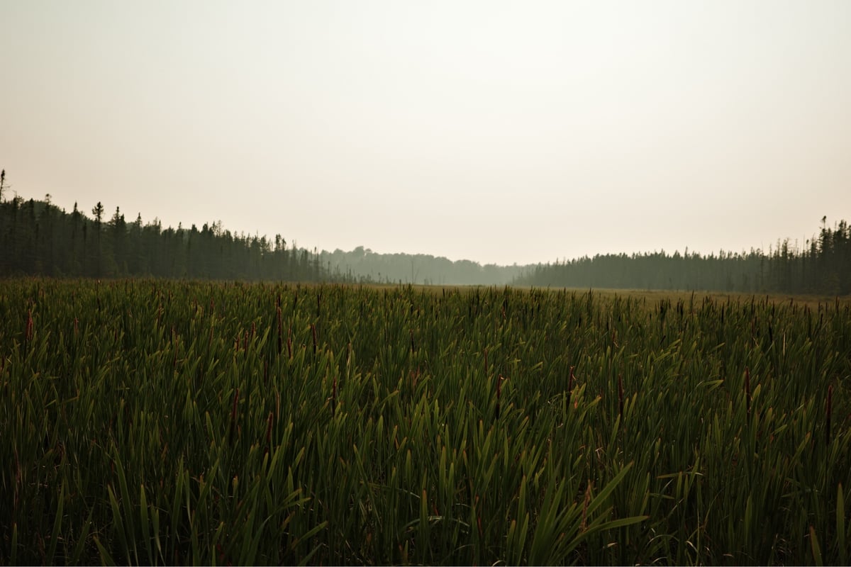 Marshland, Canada