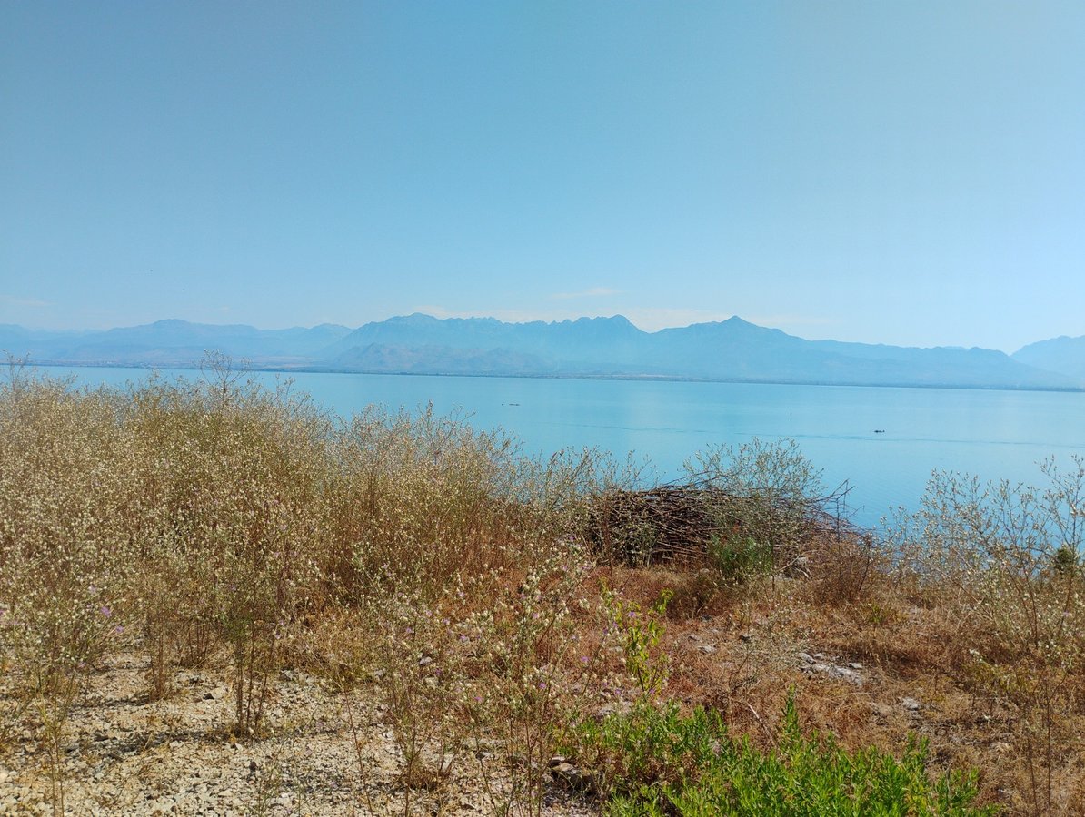 14 July 2025 - 09:58, Albania