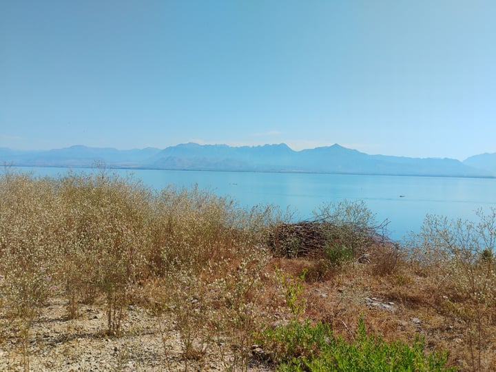 14 July 2025 - 09:58, Albanië