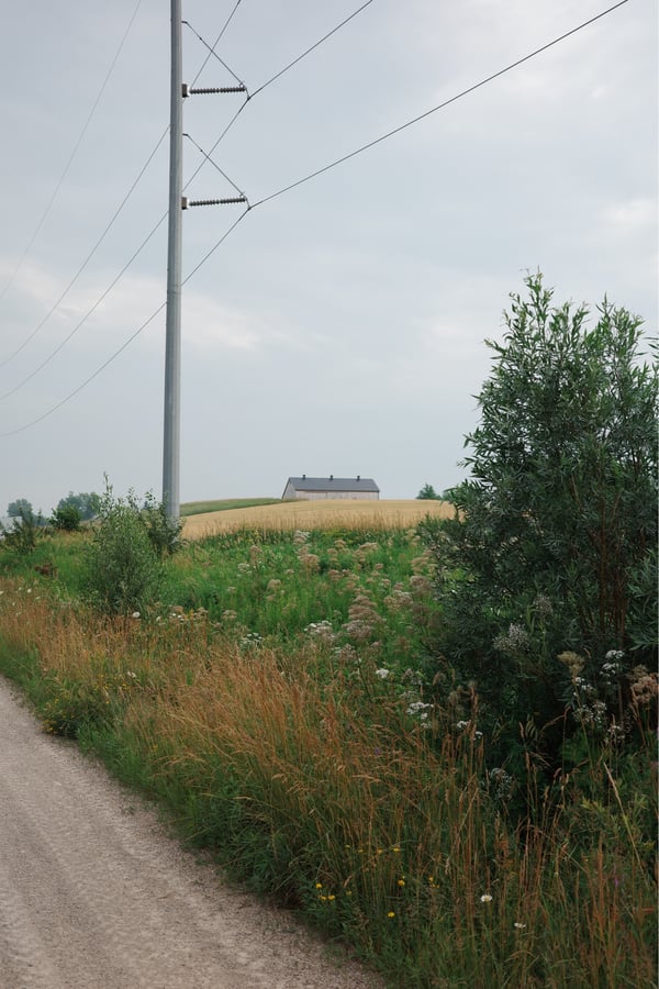 Scheune und Blumen, Kanada