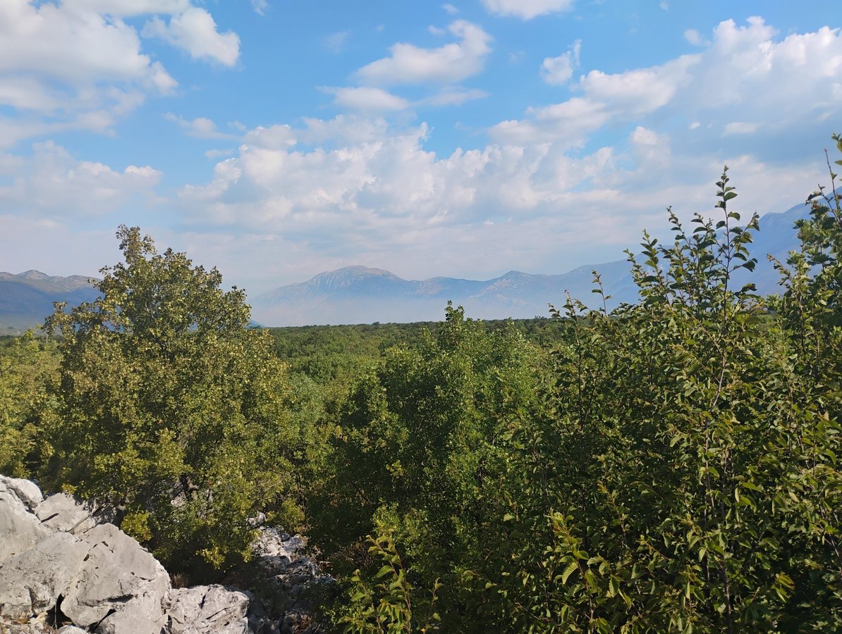 17 July 2025 - 09:09, Bosnia & Herzegovina
