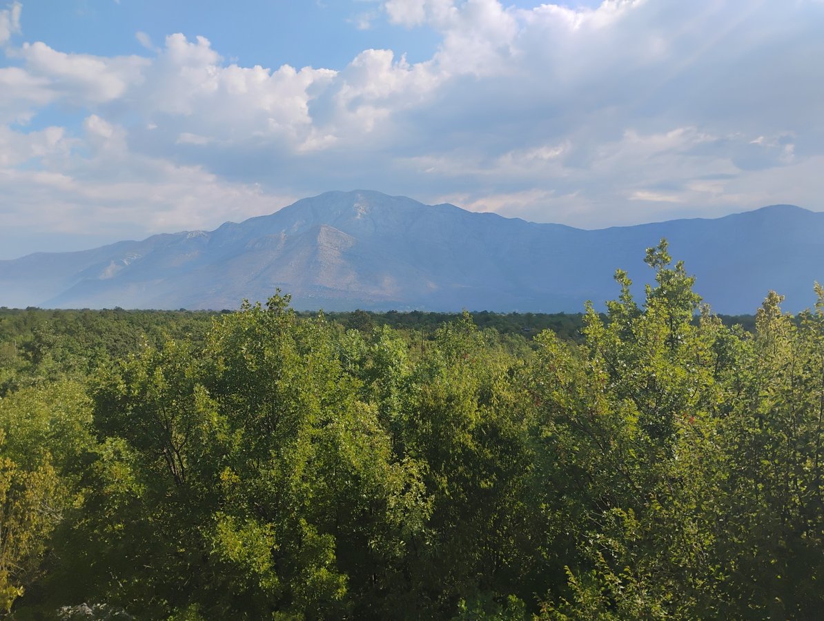 17 July 2025 - 09:09, Bosnia & Herzegovina