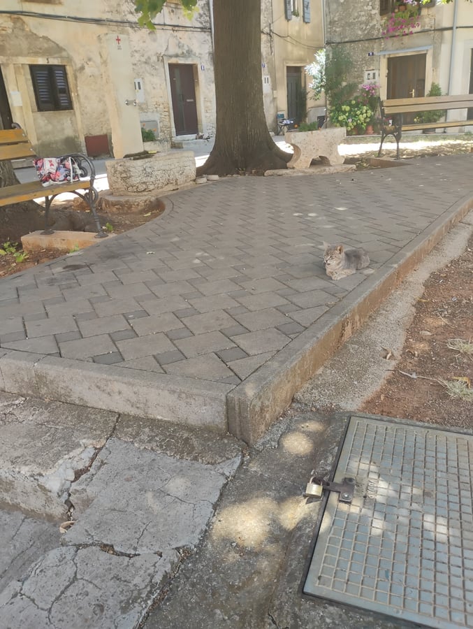 Water And Kitty, Croatia
