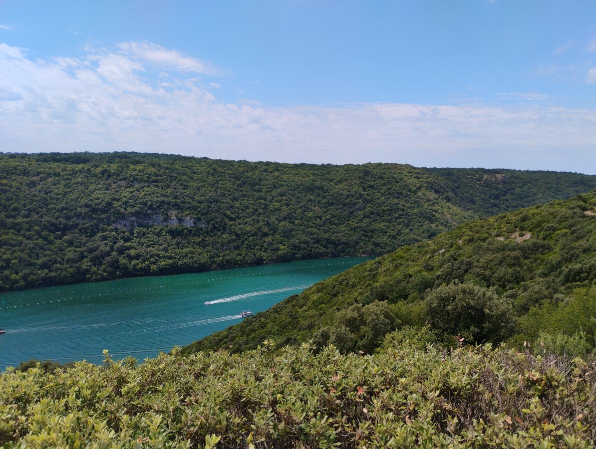 24 July 2025 - 12:09, Croatia