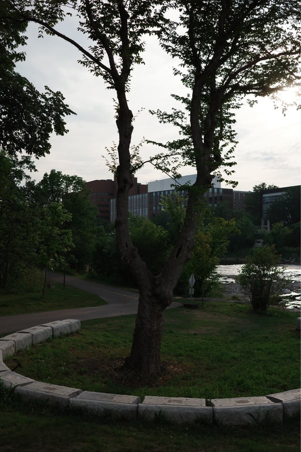 Rivière Rideau, Canada