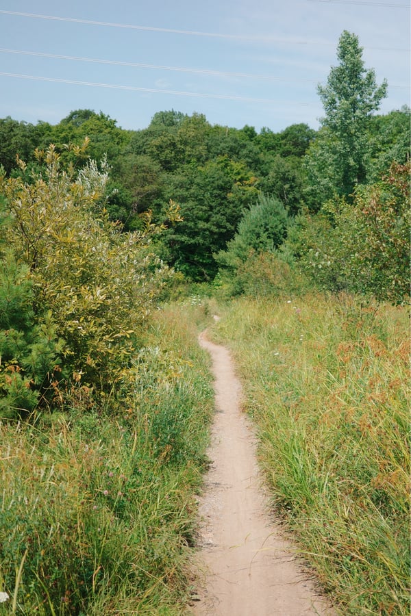 Meadow Trail, Canada