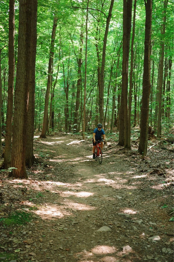 Yves In The Forest, Canada