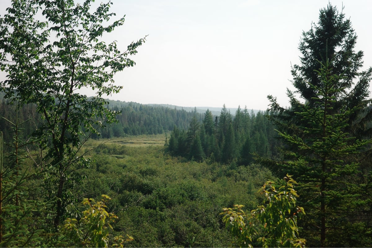 Trail Views, Canada