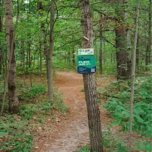 Singletrack Trail by Jeremy