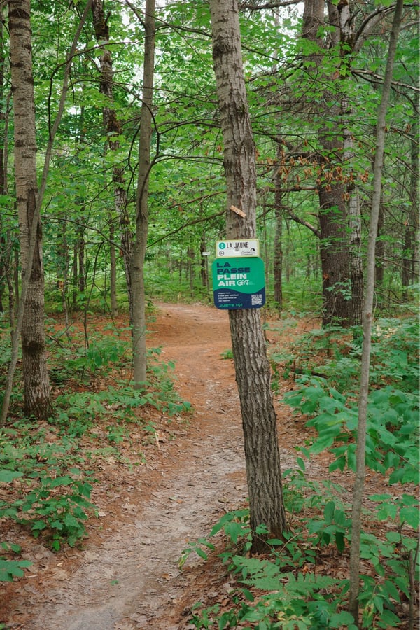 Singletrack Trail, Canada