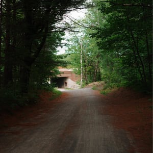 Singletrack Trail by Jeremy
