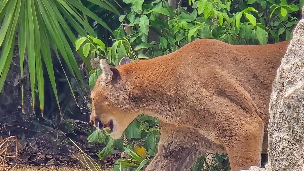 Xcaret, Mexico