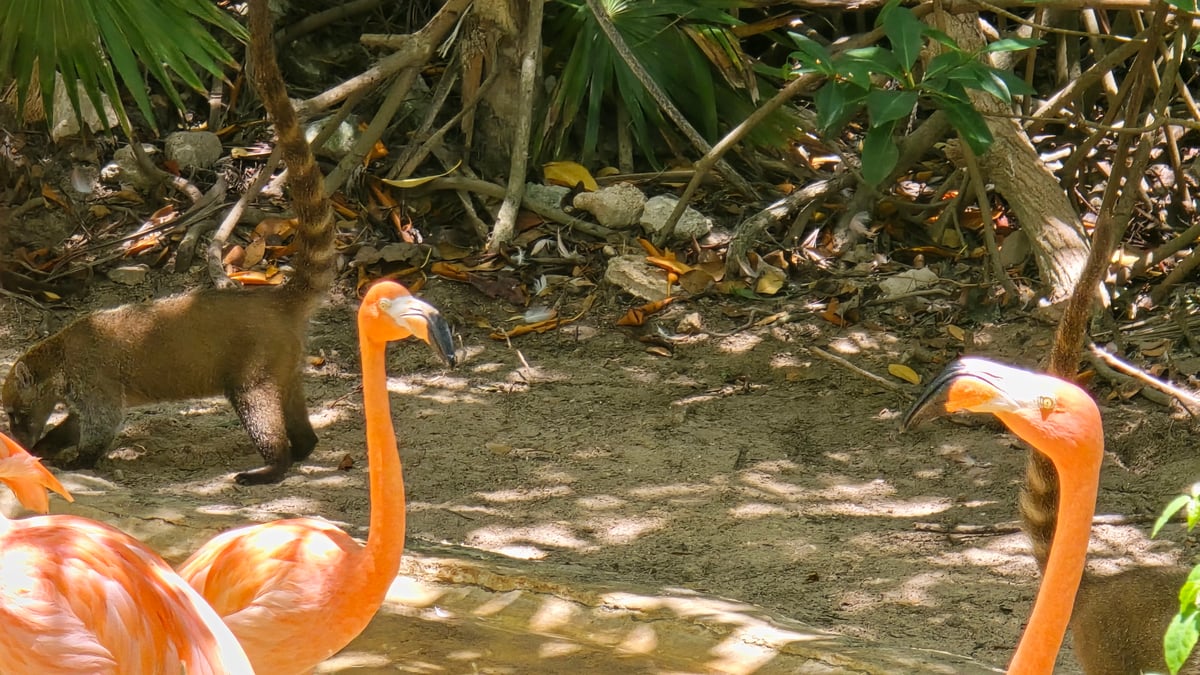 Xcaret, Mexico