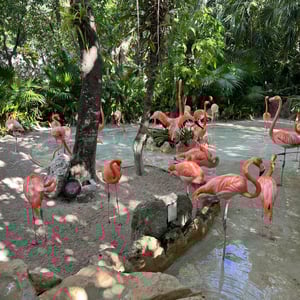 Parque Xenses by David