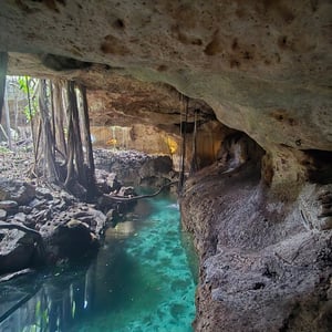 Parque Xenses by David