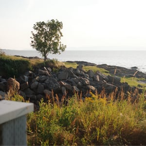 Golden Hour by Jeremy