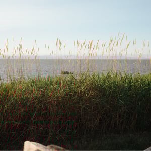 Golden Hour by Jeremy