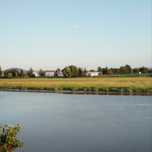 More Golden Hour by Jeremy