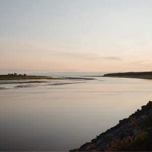 More Golden Hour by Jeremy