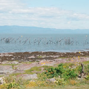 Netting By The Shore by Jeremy
