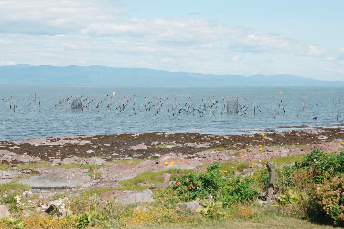 Netting By The Shore, Canada