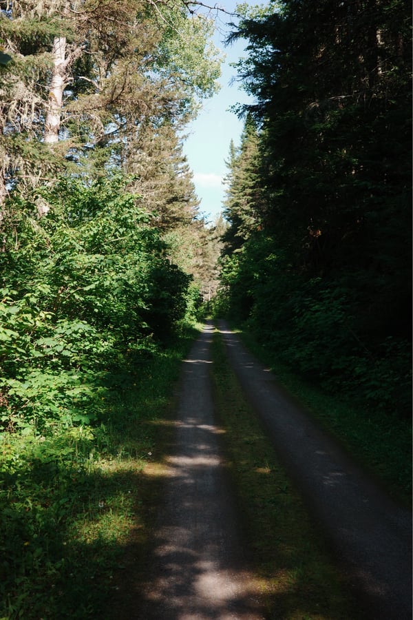 In The Woods, Canada
