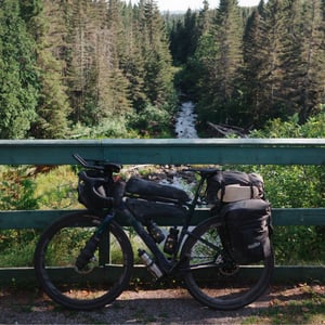 In The Woods by Jeremy