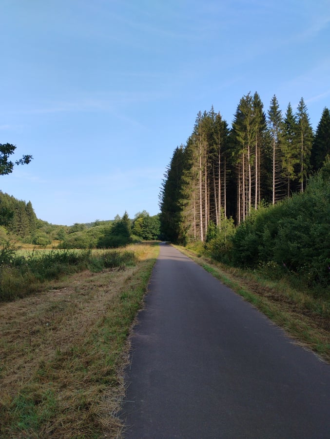 6 Aug 2025 - 09:22, Germany
