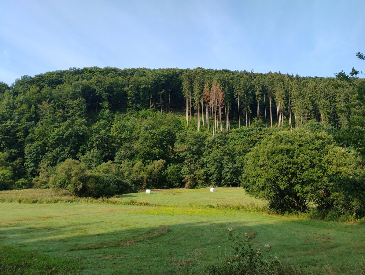 6 Aug 2025 - 09:22, Germany