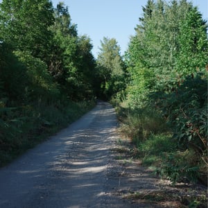 NB Trail Photos by Jeremy