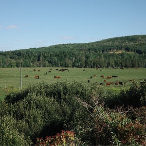 NB Trail Photos by Jeremy