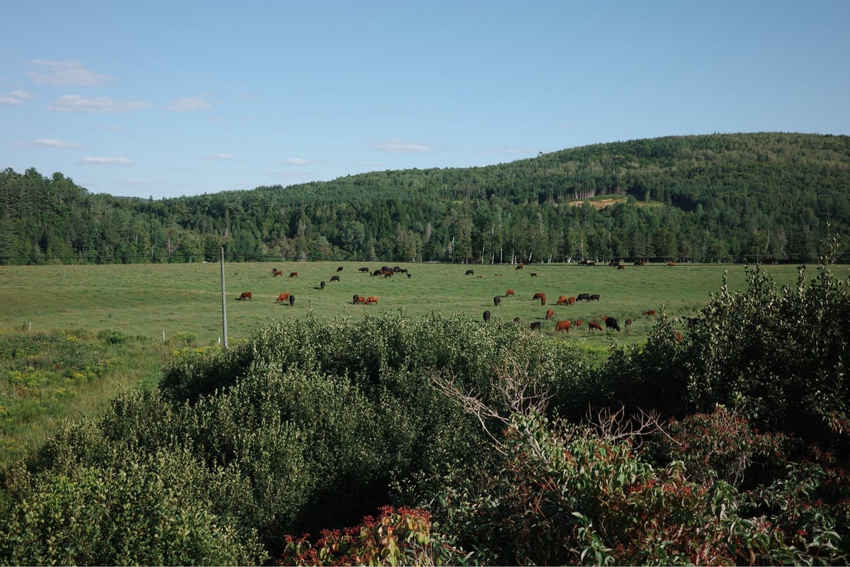 NB Trail Photos, Canada