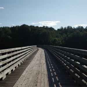 Bridge Over The St John by Jeremy