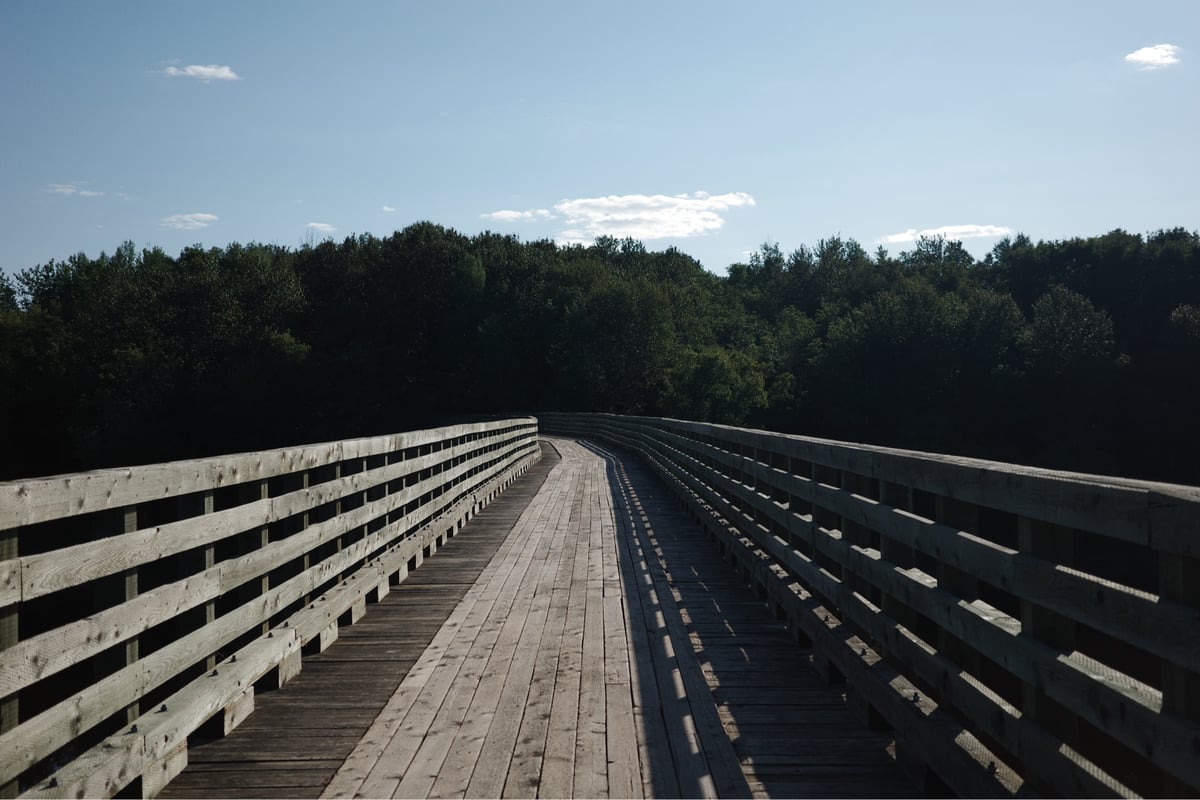 Bridge Over The St John, Canada