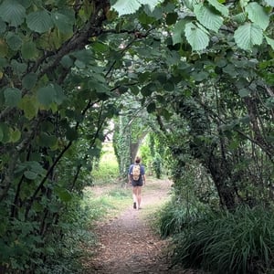 Off the Rails by Simon