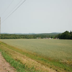 Farmland And Mountains by Jeremy