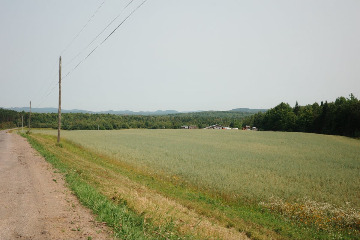 Tierras de cultivo y montañas, Canadá