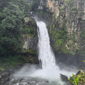 Xico - A Magi Place by David